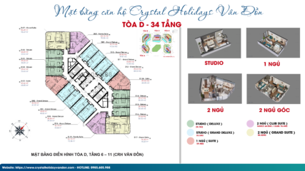Mặt bằng Crystal Vân Đồn Tòa D ( Tầng 06 - 11 )