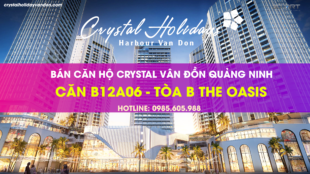 Thông tin Căn hộ B12A06 Crystal Holidays Vân Đồn Thông tin Căn hộ B12A06 Crystal Holidays Vân Đồn