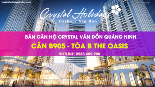 Thông tin Căn hộ B905 Crystal Holidays Vân Đồn Thông tin Căn hộ B905 Crystal Holidays Vân Đồn