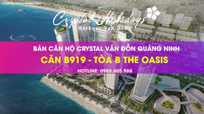 Thông tin Căn hộ B919 Crystal Holidays Vân Đồn Quảng Ninh Thông tin Căn hộ B919 Crystal Holidays Vân Đồn Quảng Ninh