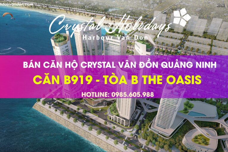 Thông tin Căn hộ B919 Crystal Holidays Vân Đồn Quảng Ninh Thông tin Căn hộ B919 Crystal Holidays Vân Đồn Quảng Ninh