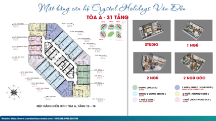 Mặt bằng Căn hộ Crystal Vân Đồn Tòa A ( Tầng 12 - 16 )