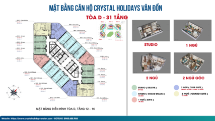 Mặt bằng căn hộ toà D Crystal Vân Đồn Tầng 12-16