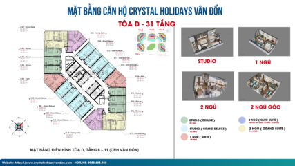 Mặt bằng căn hộ toà D Crystal Vân Đồn Tầng 6-11