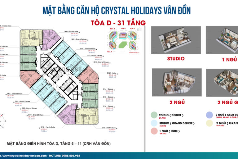 Mặt bằng căn hộ toà D Crystal Vân Đồn Tầng 6-11